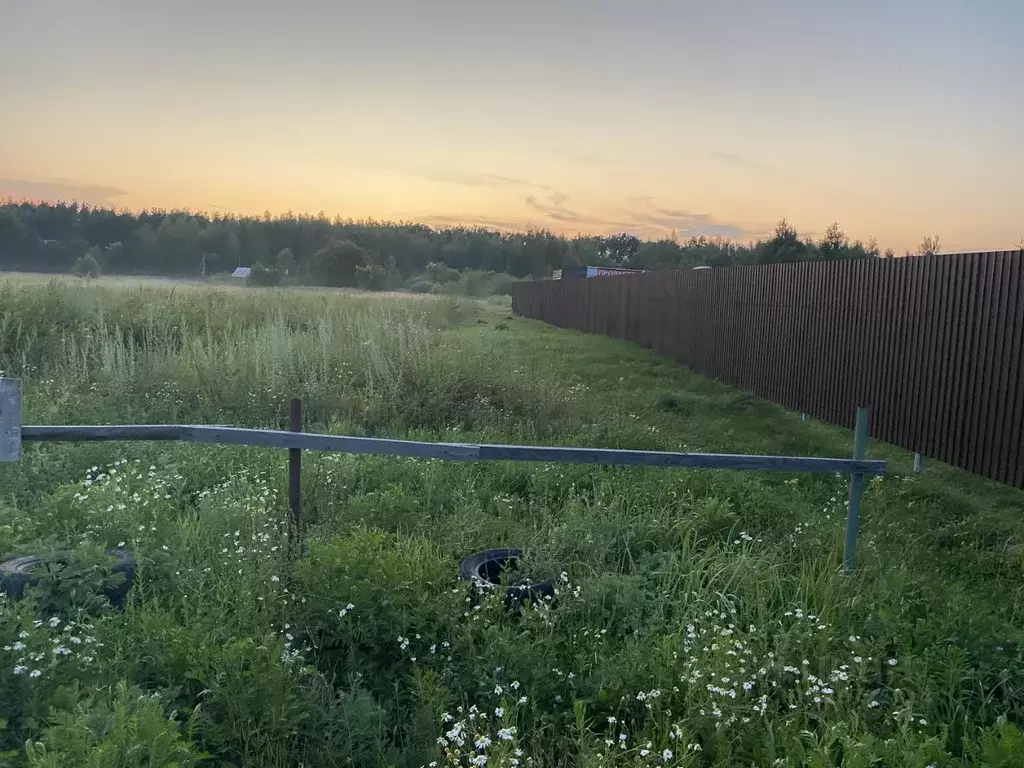 Участок в Тамбовская область, Тамбовский муниципальный округ, с. ... - Фото 1