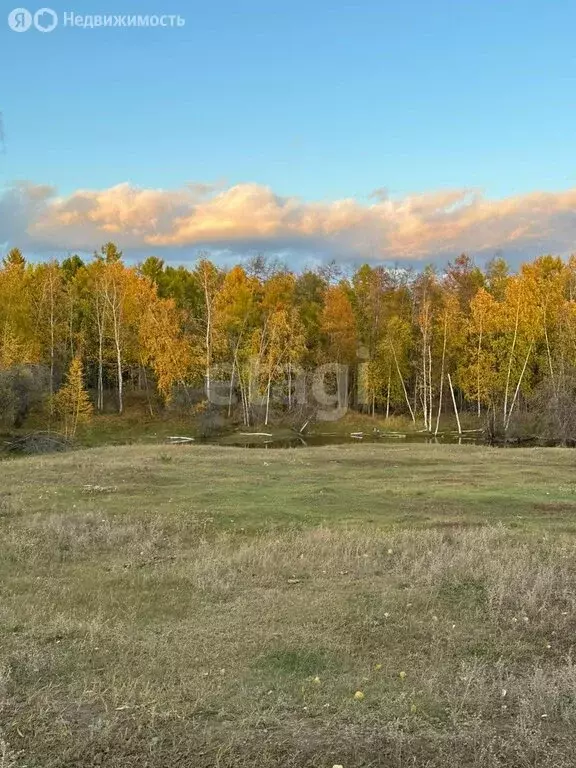 Участок в Республика Саха (Якутия), муниципальный район Хангаласский ... - Фото 1