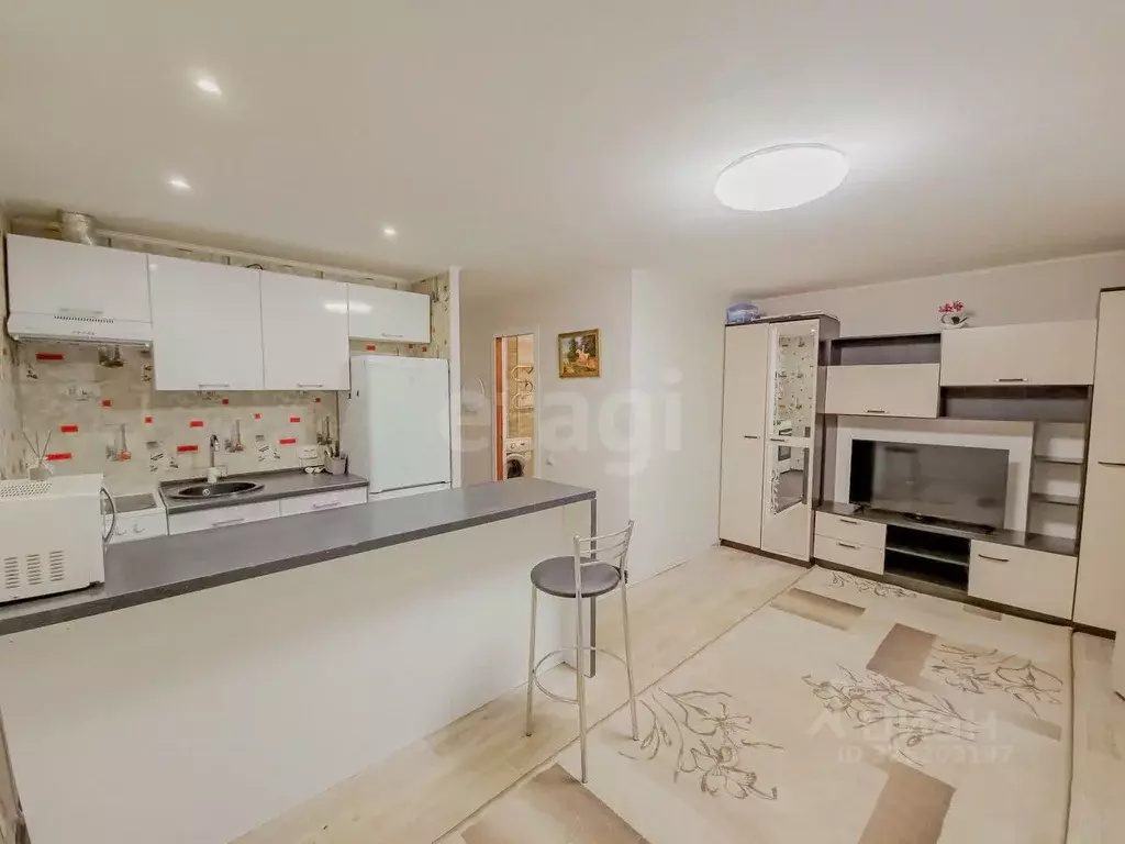 Студия Ярославская область, Ярославль ул. Бабича, 2 (25.7 м) - Фото 1