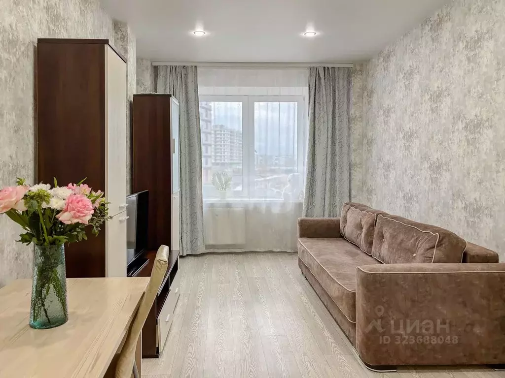 1-к кв. Псковская область, Псковский район, Завеличенская волость, д. ... - Фото 2