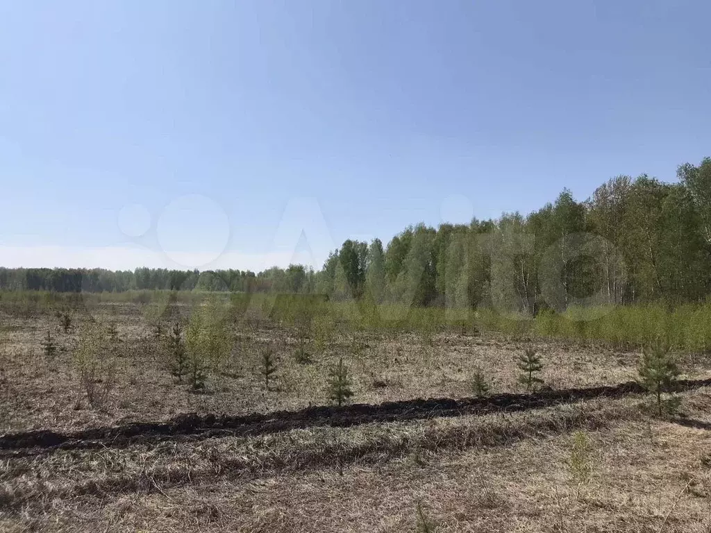 Участок 10 сот. (ИЖС) - Фото 0