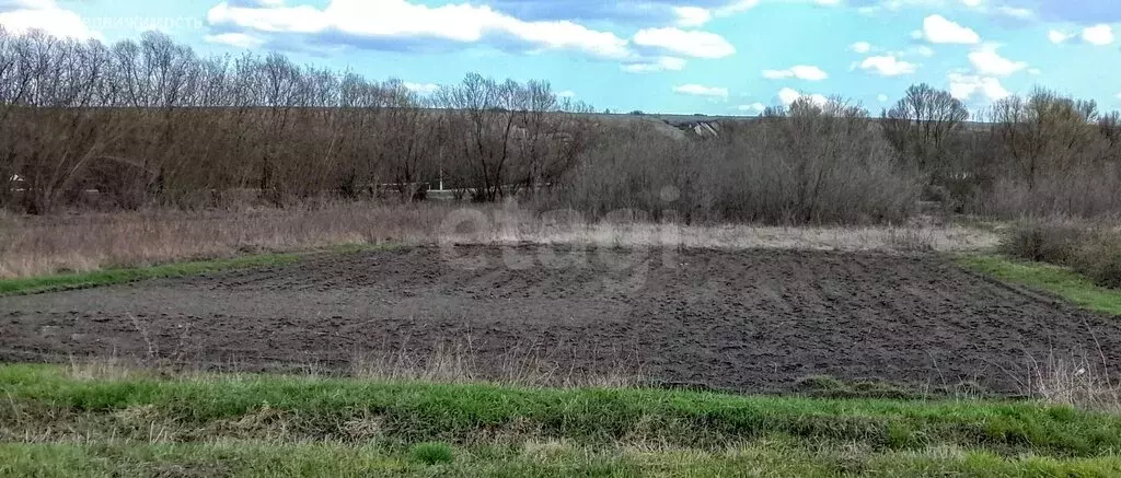 Участок в Волоконовский район, село Голофеевка (34 м) - Фото 2