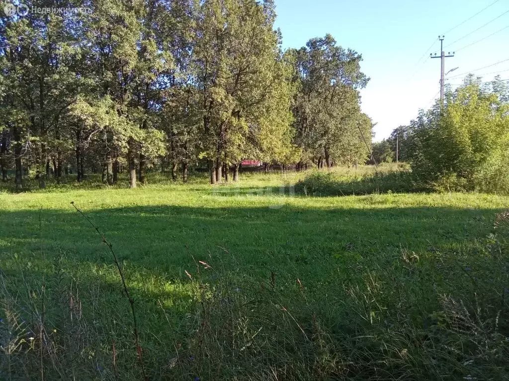 Участок в Бугульма, улица Труда (10 м) - Фото 2