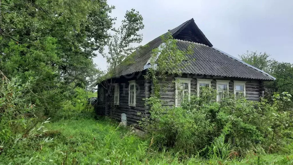 Дом в Новгородская область, Солецкий муниципальный округ, д. Вязище ... - Фото 0