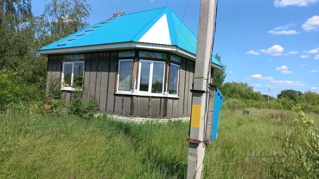 Дом в Воронежская область, Аннинское городское поселение, Анна пгт ул. ... - Фото 1