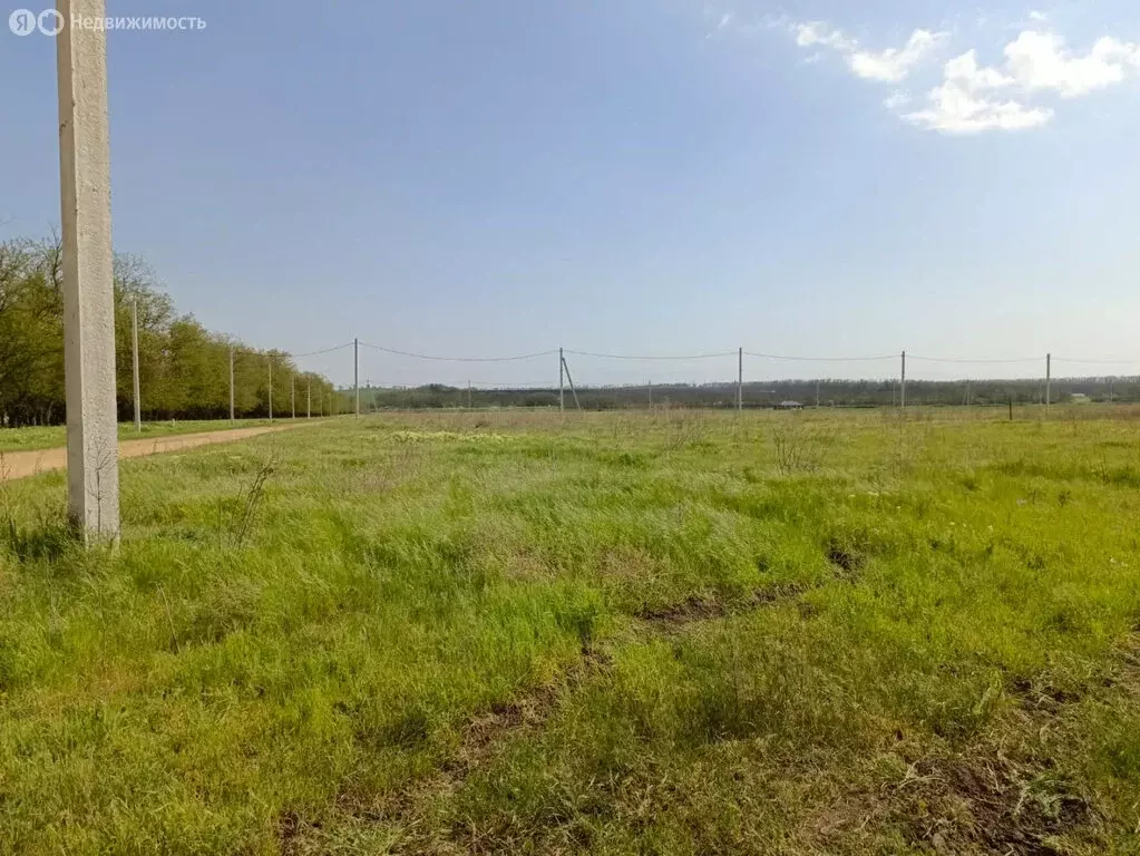 Участок в Мясниковский район, село Большие Салы (6 м) - Фото 1