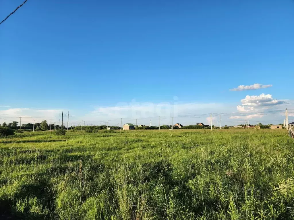Участок в Башкортостан, Стерлитамакский район, д. Казадаевка, Любажи ... - Фото 1