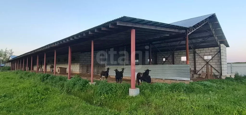 Помещение свободного назначения в Калужская область, пос. Бабынино ул. ... - Фото 1