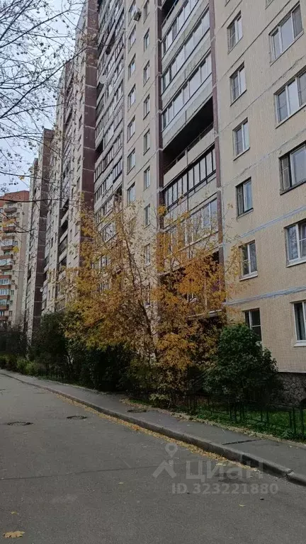 Комната Санкт-Петербург Рыбацкий просп., 43К1 (20.0 м) - Фото 1