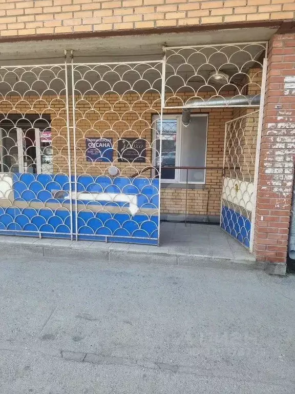 Помещение свободного назначения в Новосибирская область, Новосибирск ... - Фото 1