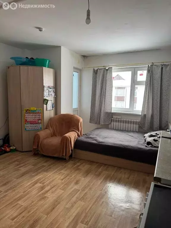 Квартира-студия: село Борогонцы, улица Пушкина, 7 (28.8 м) - Фото 2