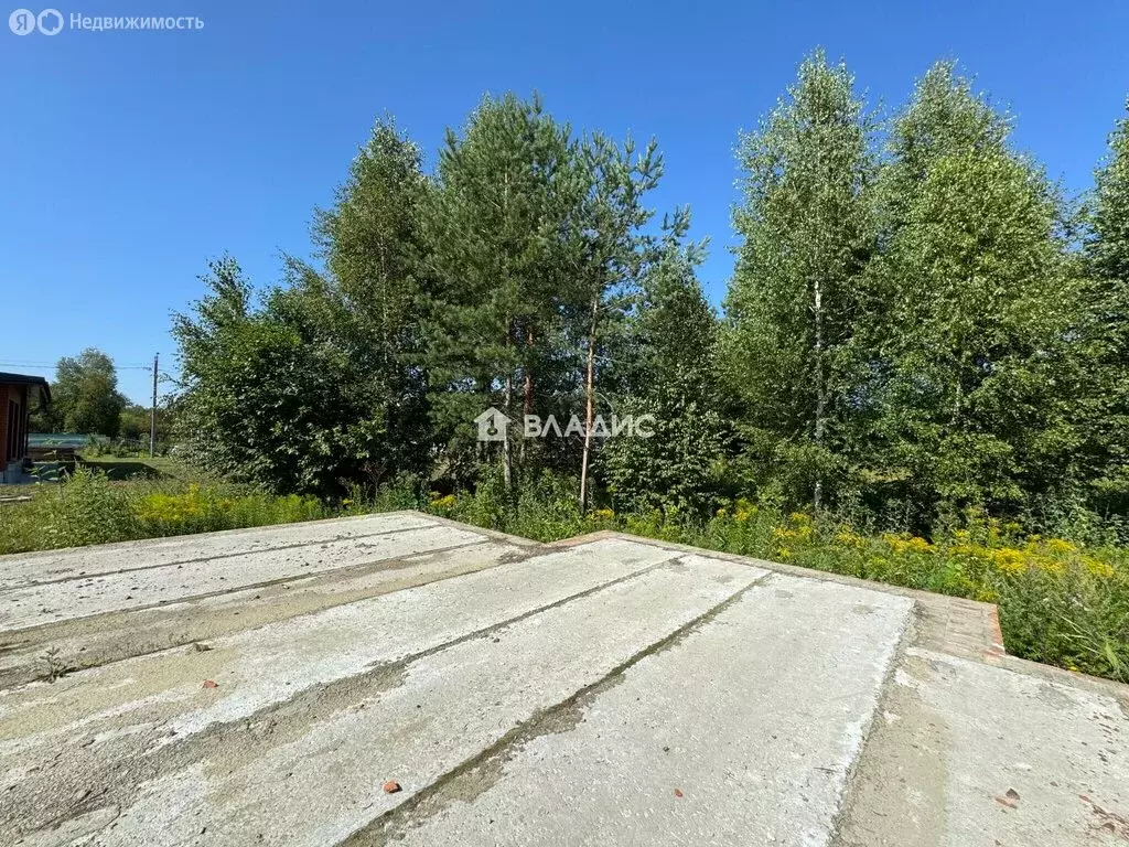 Участок в Пенза, СДТ Камыши (12 м) - Фото 2