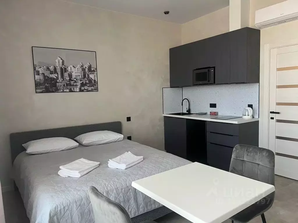 Студия Алтайский край, Барнаул просп. Строителей, 18к1 (26.0 м) - Фото 2