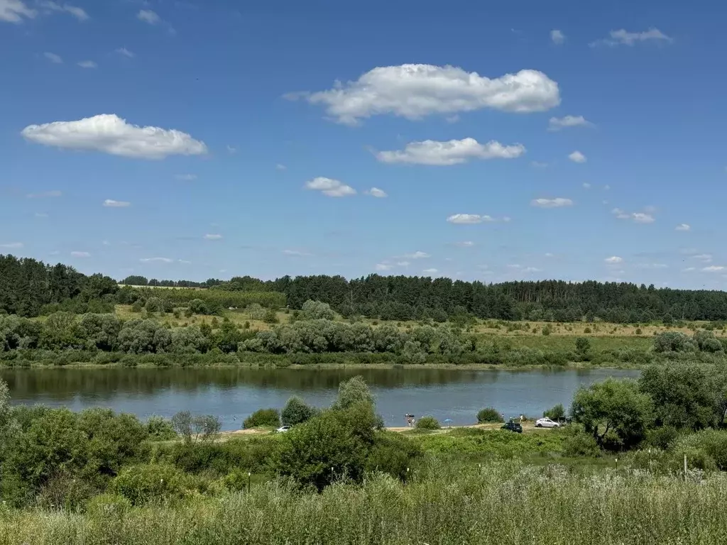 Участок в Тульская область, Алексинский район, д. Егнышевка ул. ... - Фото 1