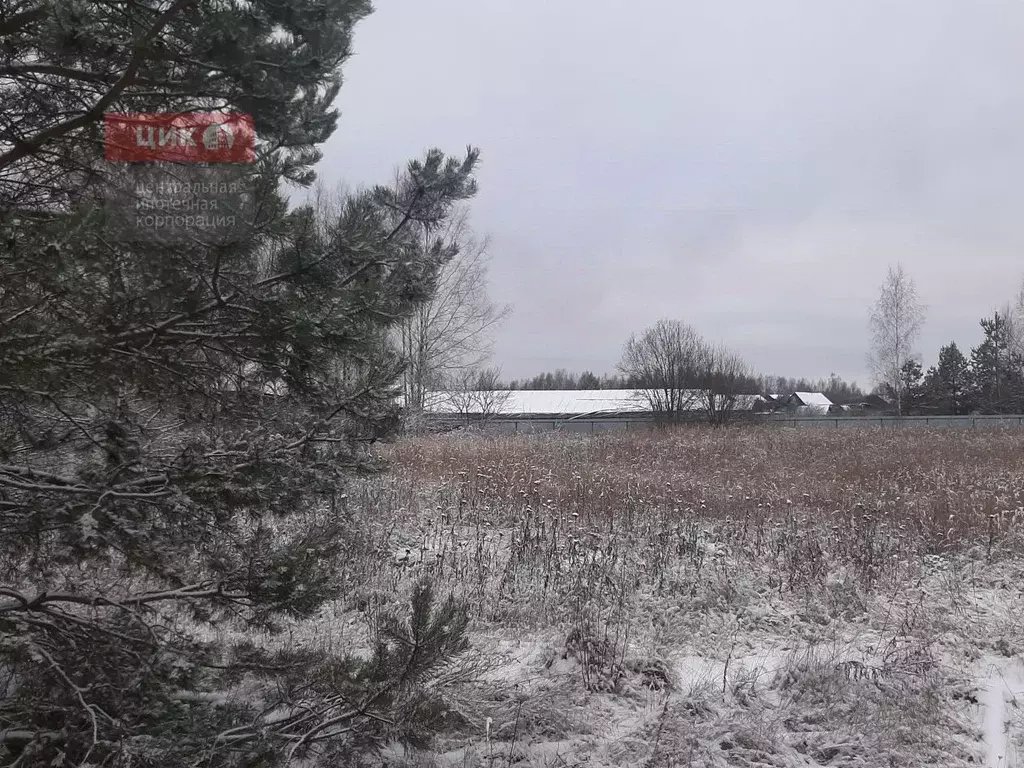 Участок в Рязанская область, Рязанский муниципальный округ, с. ... - Фото 1