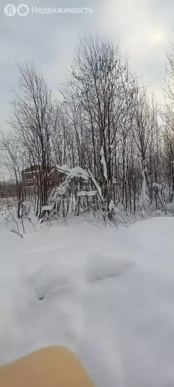 Участок в Ухта, Снежная улица (8.28 м) - Фото 1