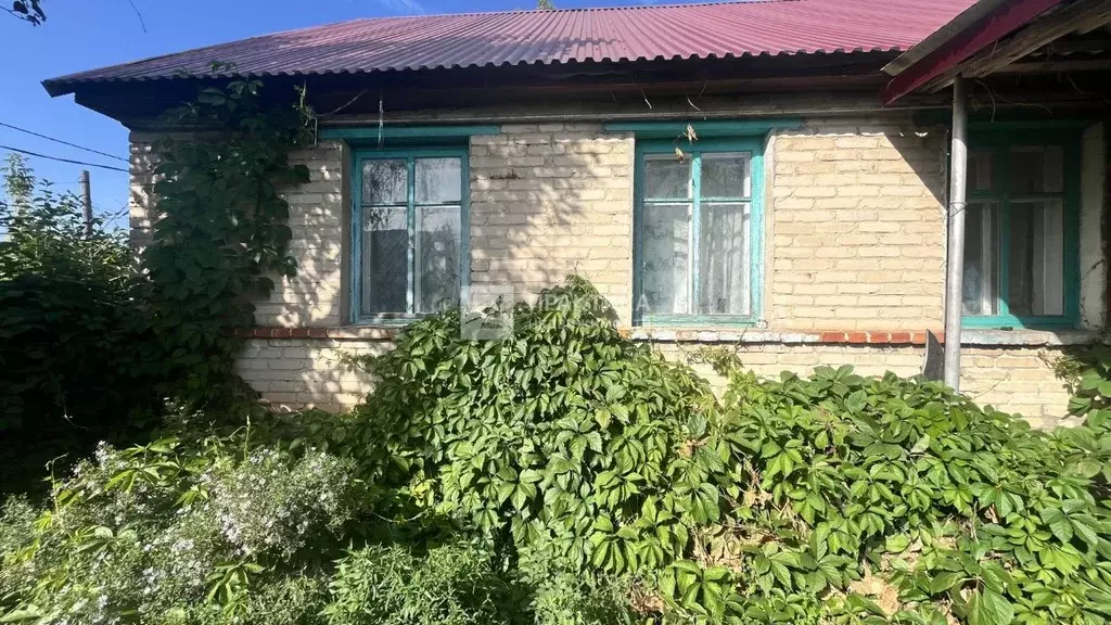 Дом в Липецкая область, Долгоруковский сельсовет, д. Екатериновка ул. ... - Фото 0