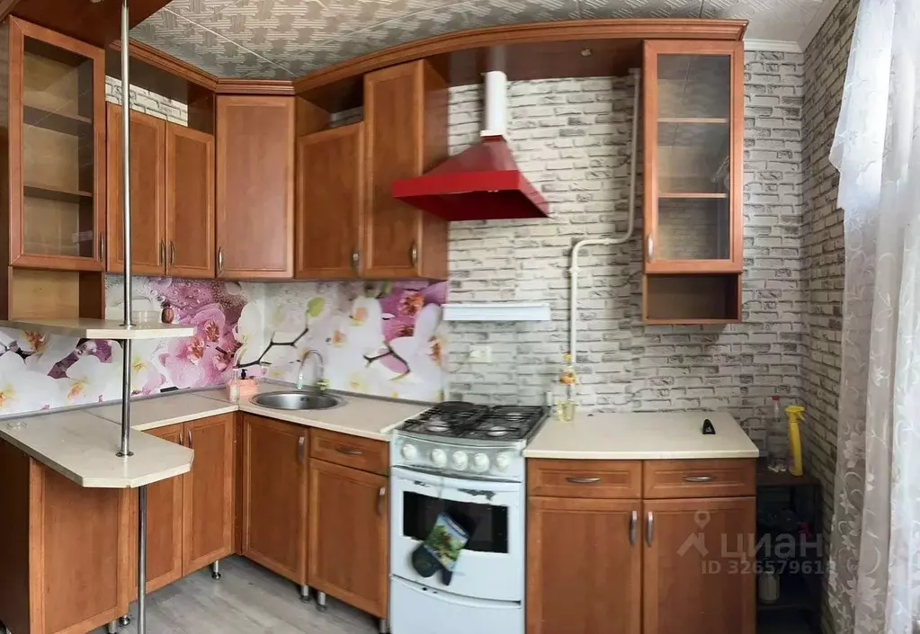 1-к кв. Ленинградская область, Никольское Тосненский район, ... - Фото 1