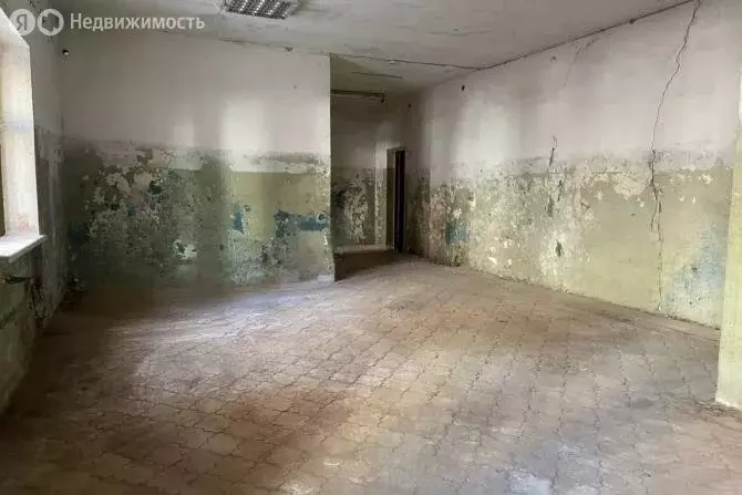 Помещение свободного назначения (311.3 м) - Фото 1
