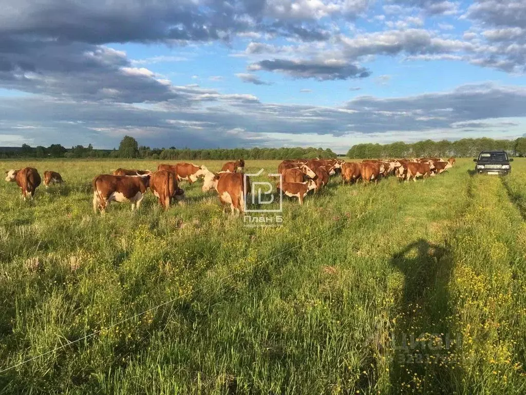 Производственное помещение в Калужская область, Хвастовичский ... - Фото 2