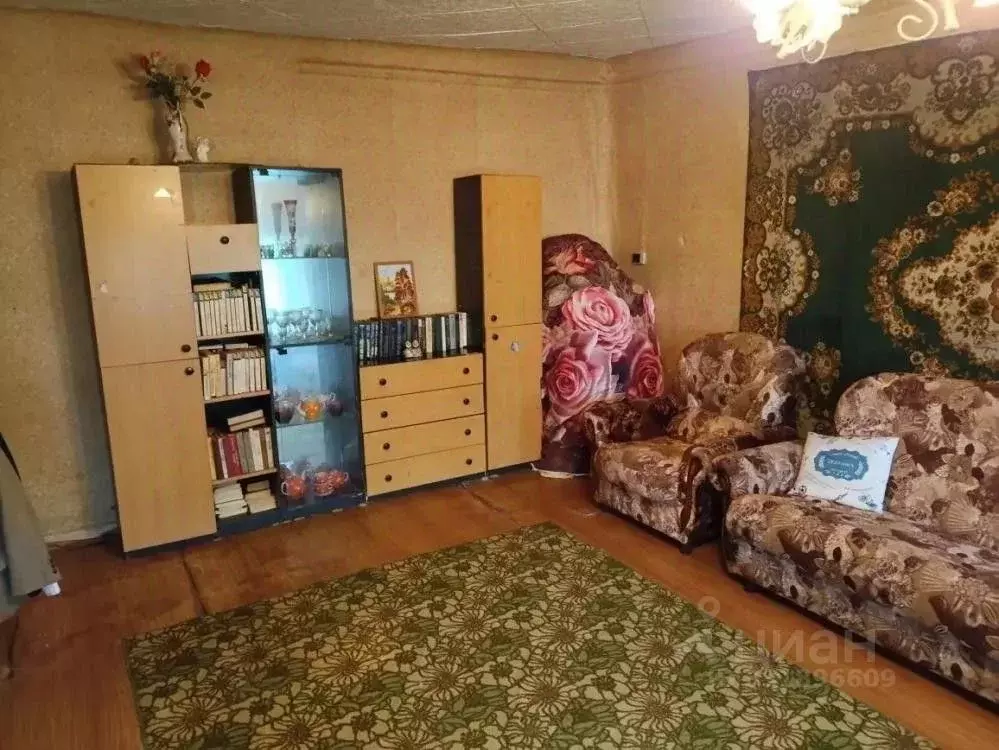 Дом в Челябинская область, Касли ул. Карла Маркса, 66 (50 м) - Фото 2