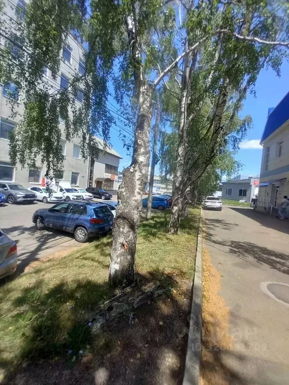 Офис в Ставропольский край, Ставрополь просп. Кулакова, 8Ж (20 м) - Фото 1