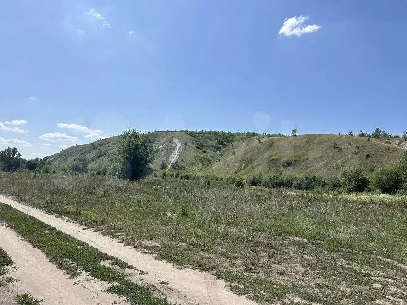 Участок 30 сот. (СНТ, ДНП) - Фото 1