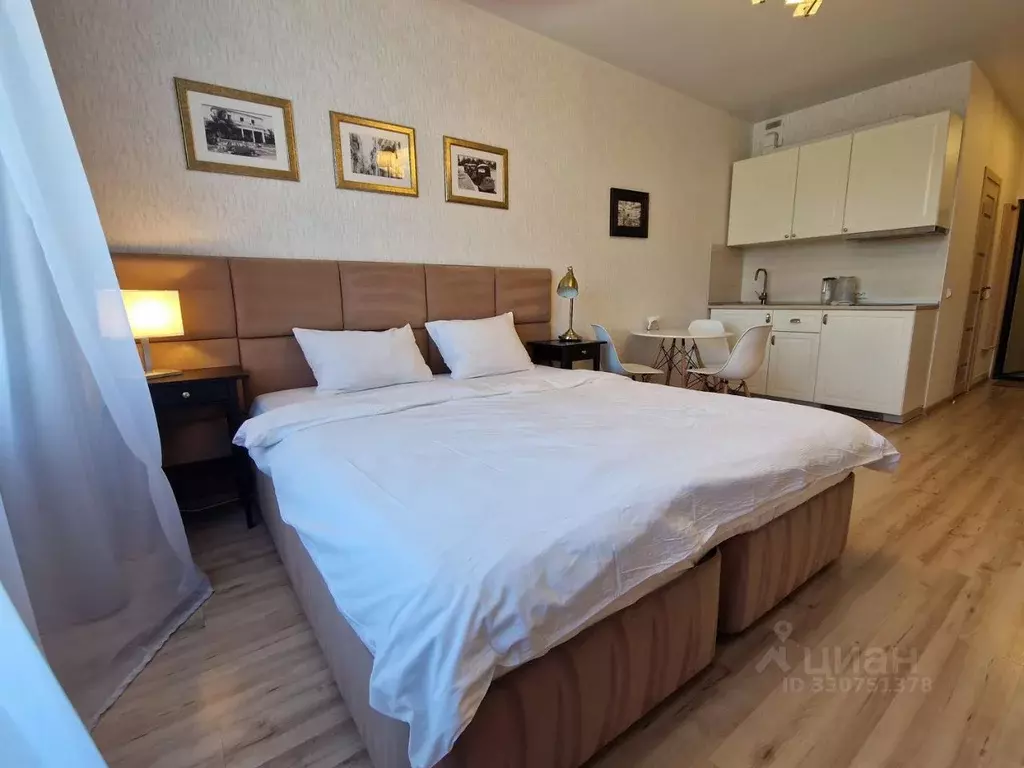Студия Санкт-Петербург ул. Савушкина, 104 (28.8 м) - Фото 2