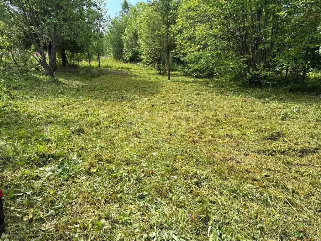 Участок в Свердловская область, Нижний Тагил муниципальный округ, пос. ... - Фото 1