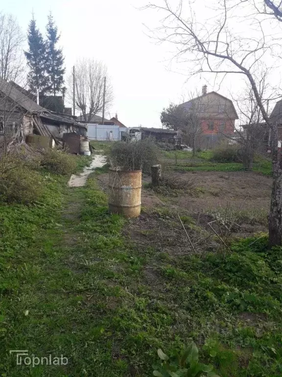 Участок в Владимирская область, Суздальский район, Новоалександровское ... - Фото 1