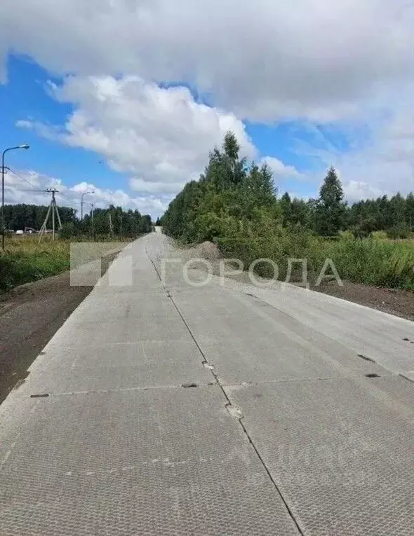 Участок в Новосибирская область, Новосибирск Озерное СНТ, 187 (4.6 ... - Фото 1