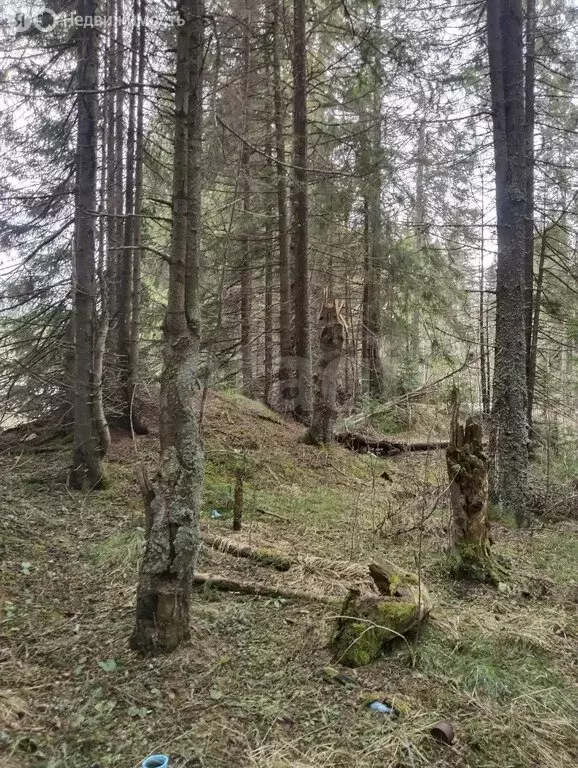Участок в посёлок Уралец, Белогорская улица (18.37 м) - Фото 2