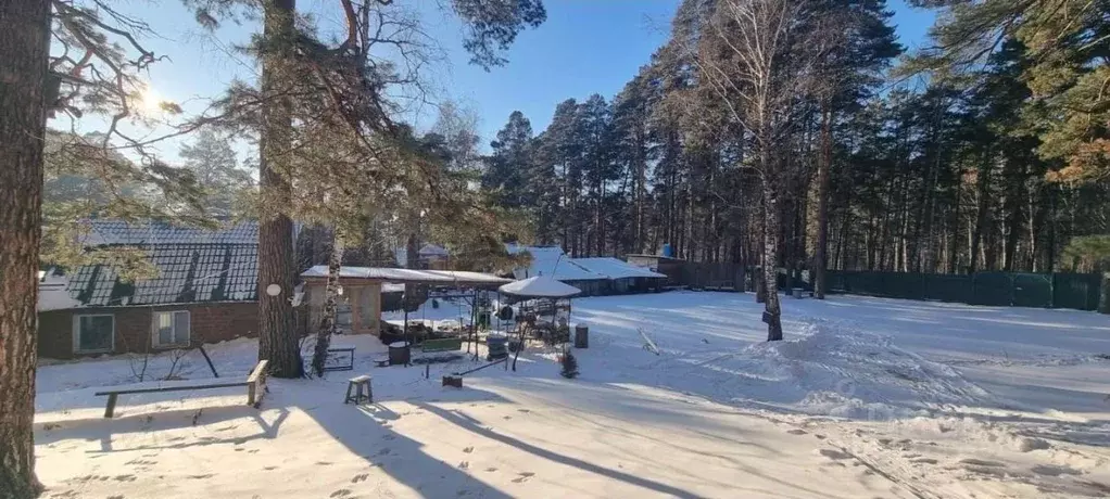 Дом в Томская область, Томск пос. Басандайка, пер. 1-й Басандайский, ... - Фото 1