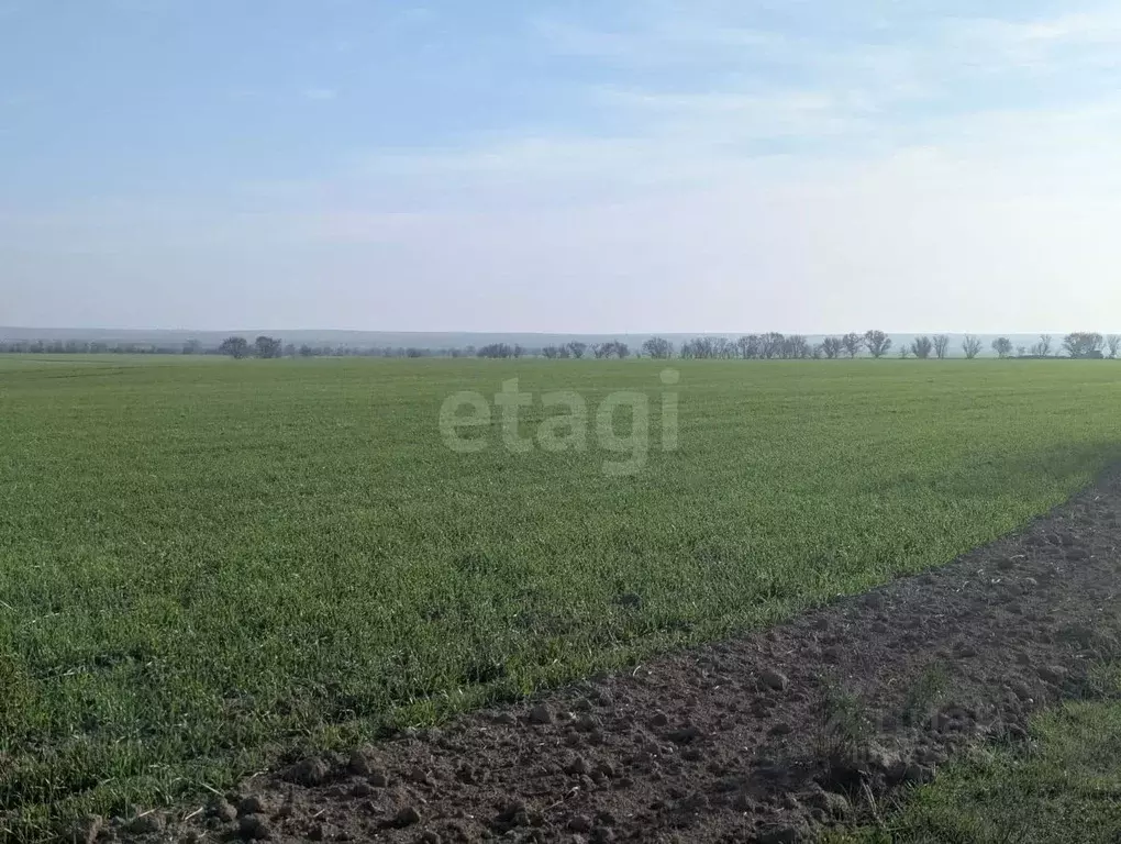 Участок в Крым, Черноморский район, с. Межводное  (17.76 сот.) - Фото 1