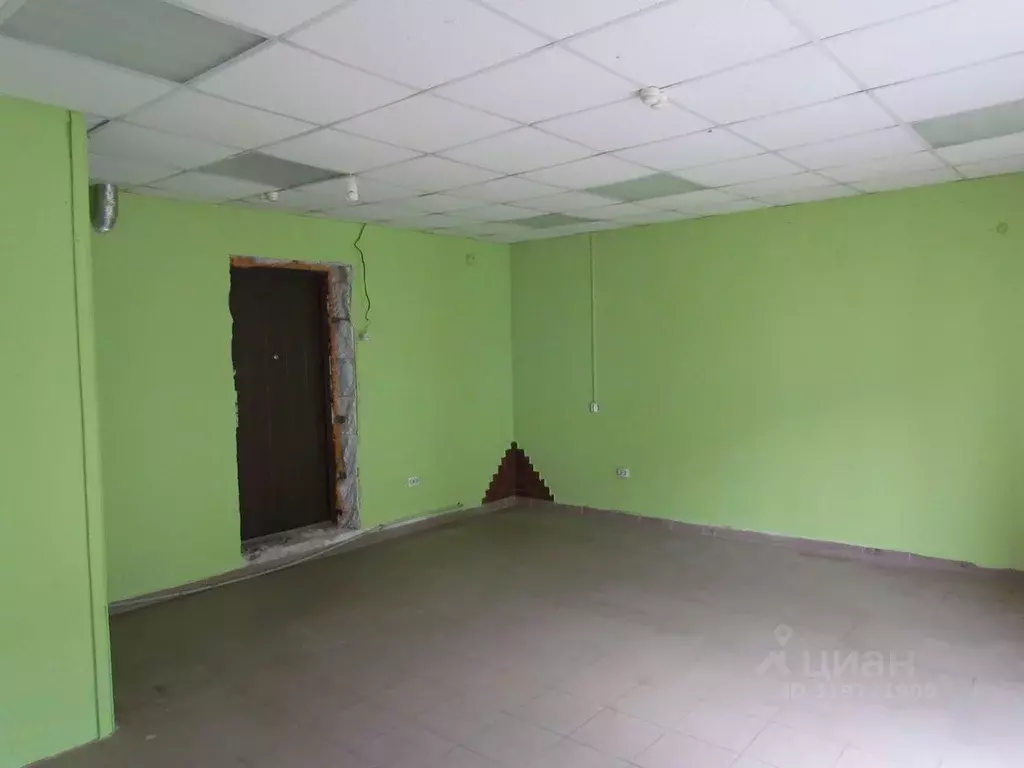 Помещение свободного назначения в Калининградская область, Светловский ... - Фото 2