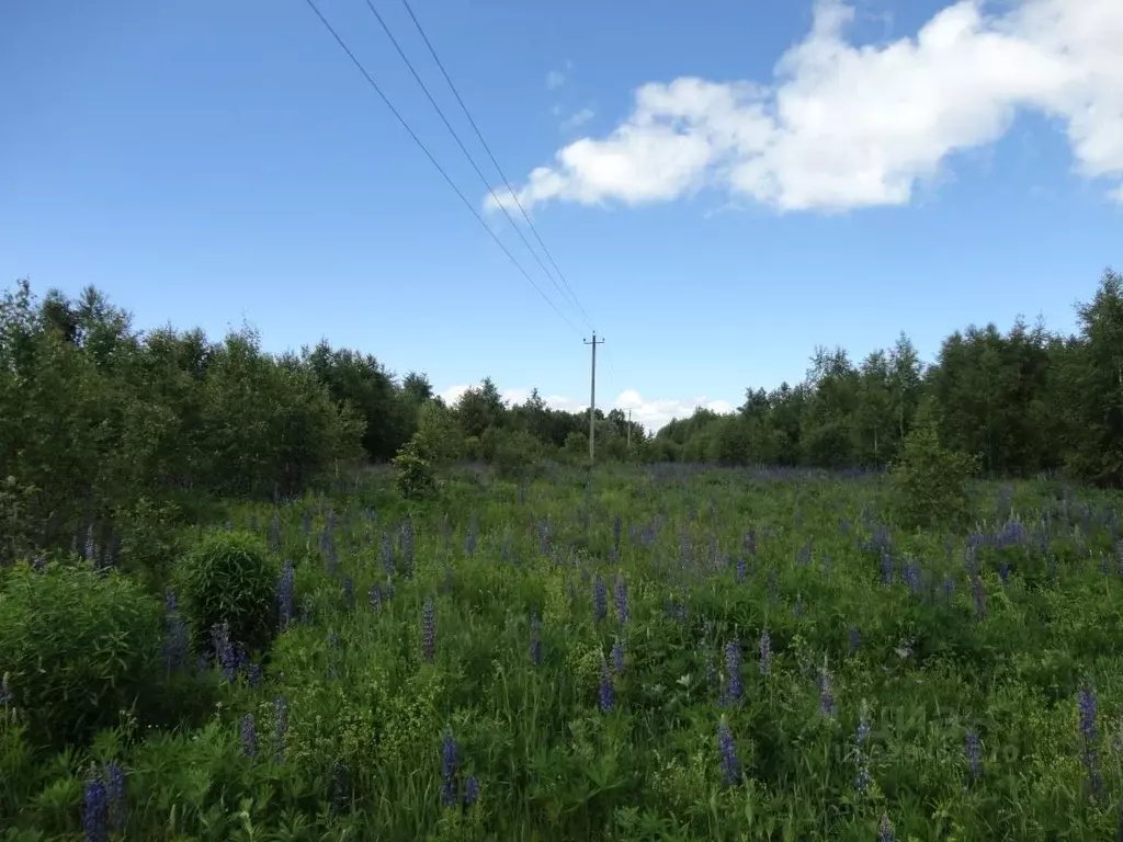 Участок в Ивановская область, Южский район, Мугреево-Никольское с/пос, ... - Фото 1