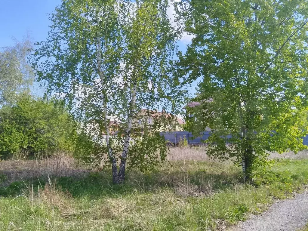 Участок 6 сот. (СНТ, ДНП) - Фото 0