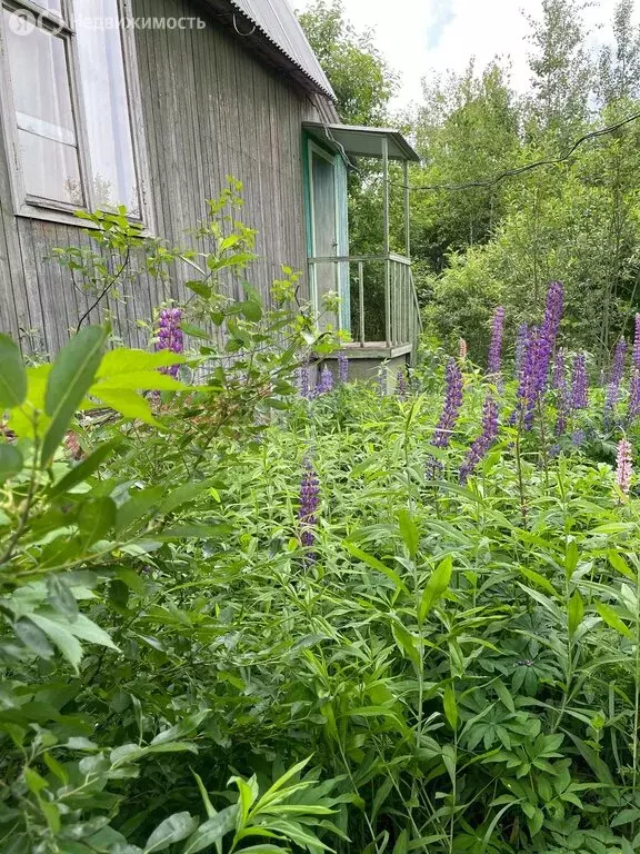 Дом в Орехово-Зуевский городской округ, СНТ Стрела, 40 (39 м) - Фото 0