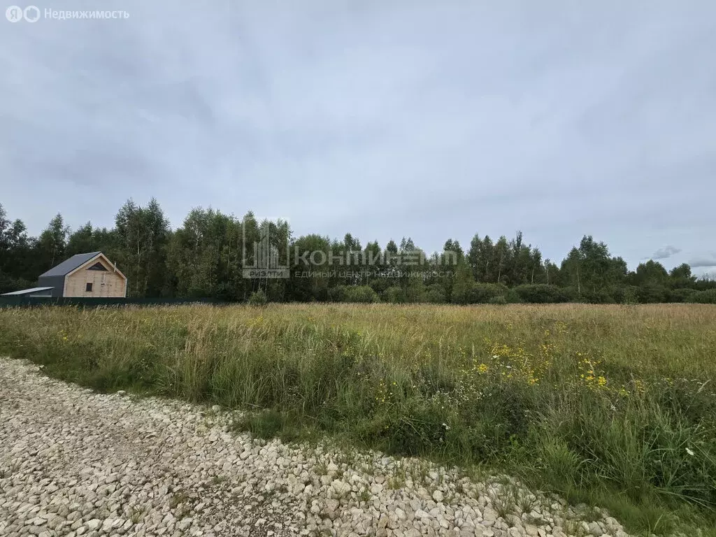 Участок в Ковровский район, муниципальное образование Малыгинское, ... - Фото 0