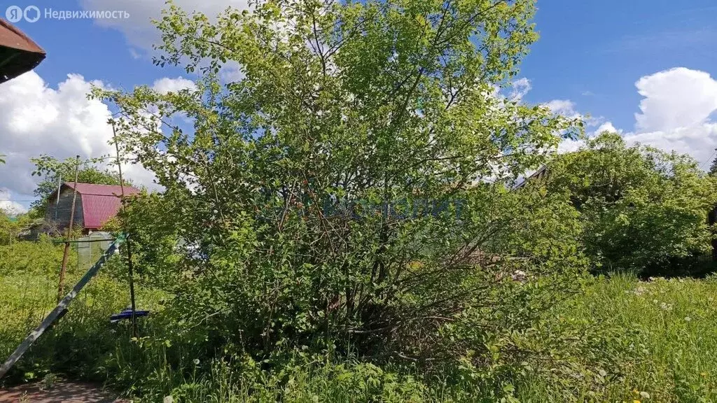 Участок в Йошкар-Ола, СНТ Мичуринец (5.9 м) - Фото 2