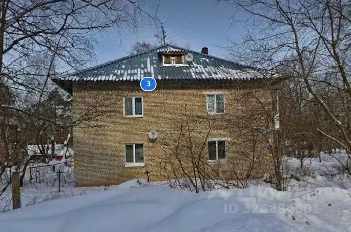 2-к кв. Московская область, Пушкино Мамонтовка мкр, ул. Горького, 3 ... - Фото 2