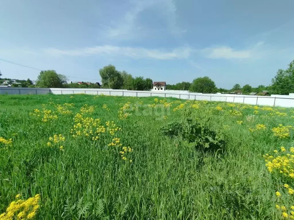 Участок в Калужская область, Дзержинский муниципальный округ, Льва ... - Фото 1