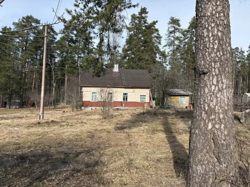 Участок в Ленинградская область, Приозерский район, пос. Мичуринское ... - Фото 1