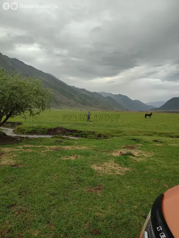 Участок в Чемальский район, село Куюс (12 м) - Фото 1