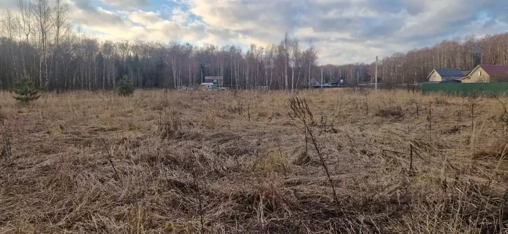 Участок в Московская область, Домодедово городской округ, с. Добрыниха ... - Фото 0