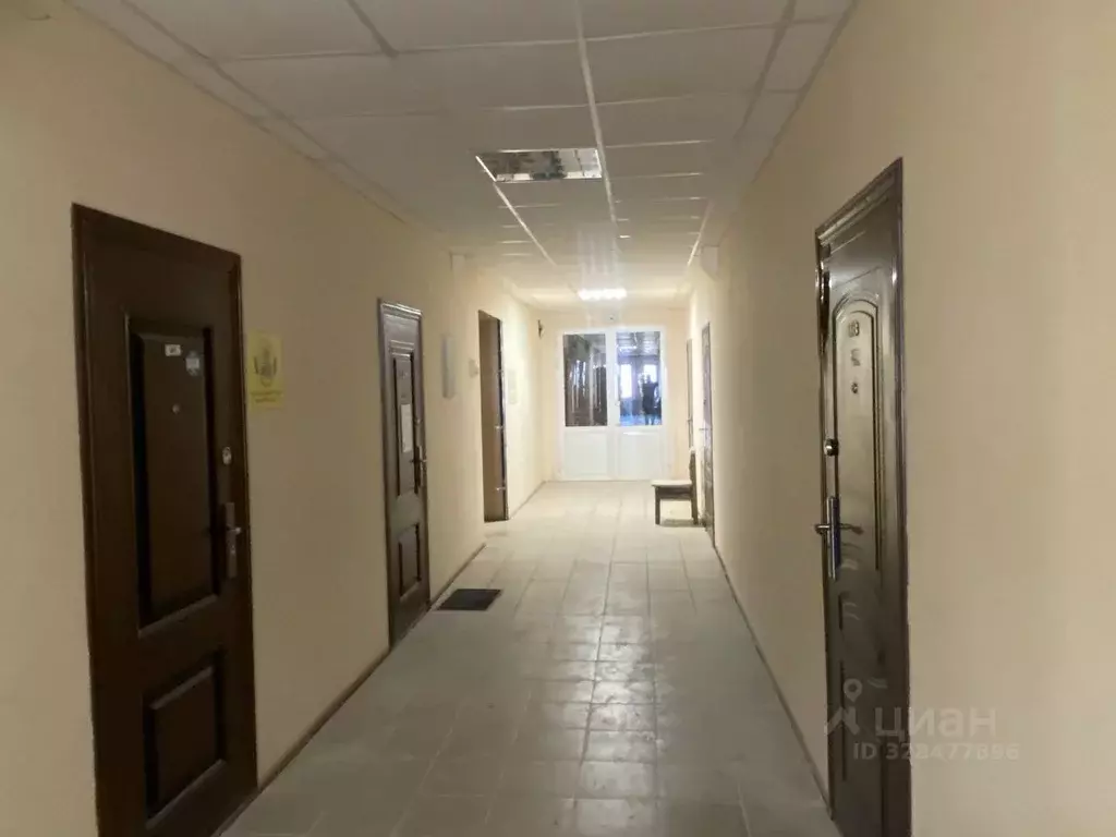 Офис в Тверская область, Тверь ул. Александра Завидова, 24 (43 м) - Фото 1