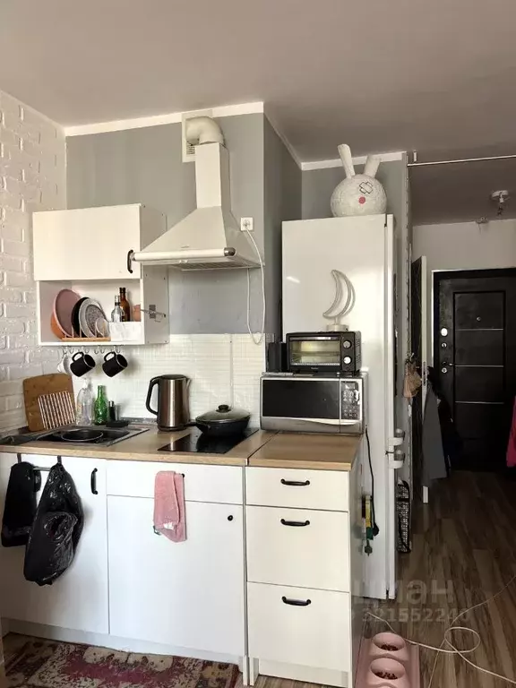 Студия Ленинградская область, Мурино Всеволожский район, аллея ... - Фото 1