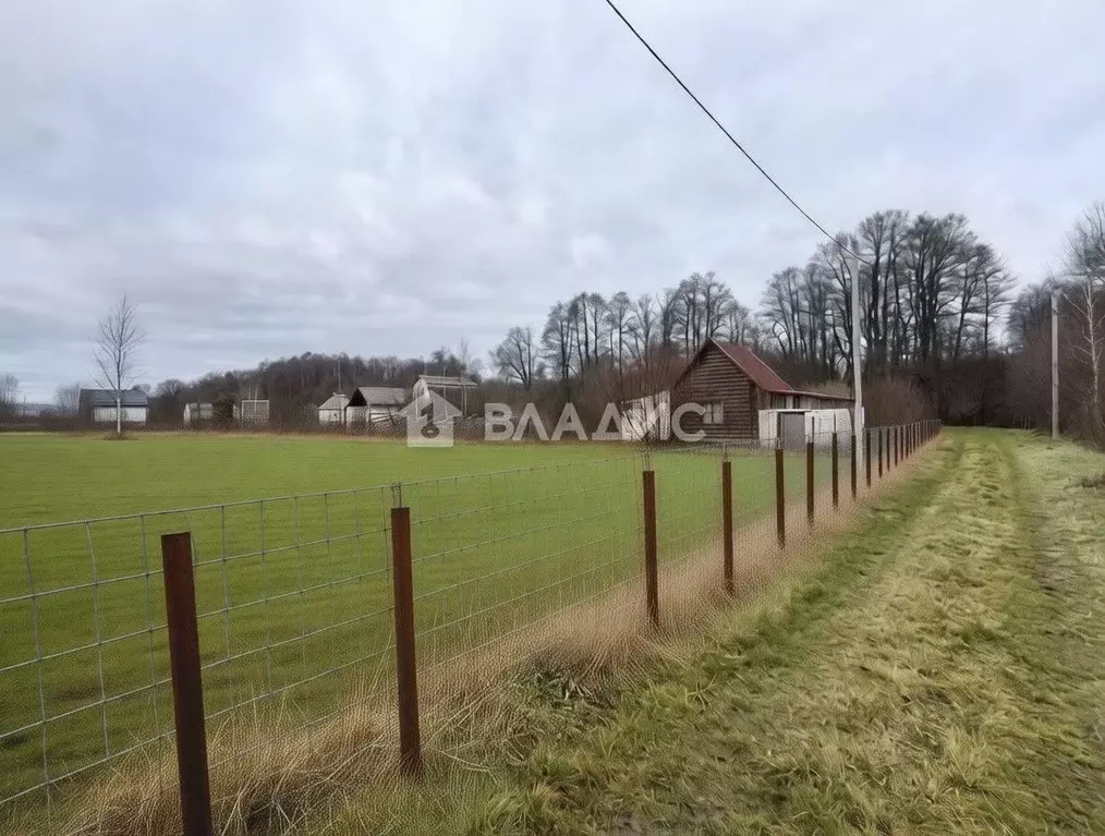 Участок в Калининградская область, Светловский городской округ, пос. ... - Фото 2