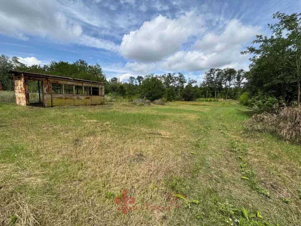 Участок в Белгородская область, Белгородский район, Разумное рп, ... - Фото 1