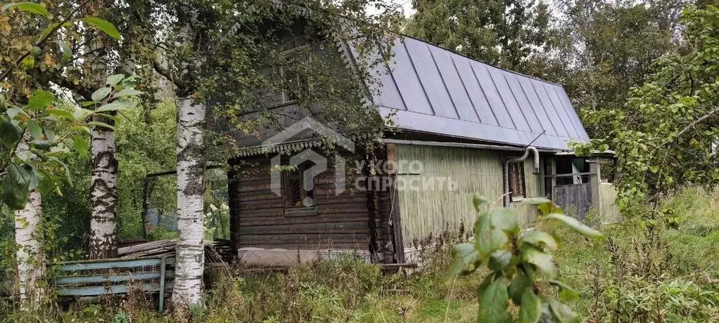 Участок в Ленинградская область, Тосненский район, Красноборское ... - Фото 0